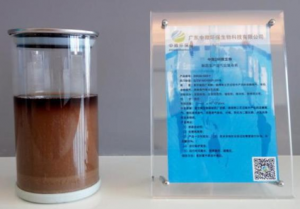 黑臭水體生態(tài)修復(fù)專(zhuān)用